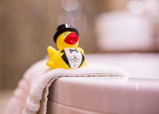 The life of a Hastings Hotels duck is certainly an interesting one