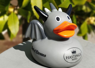 Meet the Duck of Thrones - available to our Game of Thrones tour guests at Ballygally Castle