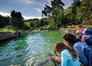 Tips for the perfect family day out in Belfast this Summer