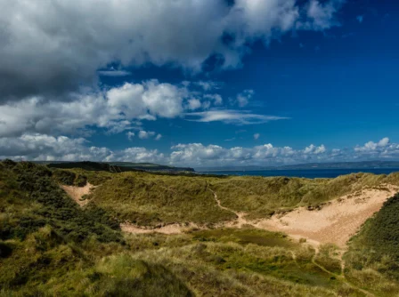 Family exploring sand dunes with ocean view under a vibrant blue sky.