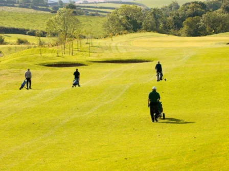 Family enjoying a sunny day golfing on a lush green course surrounded by scenic countryside.