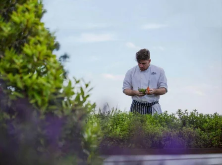 Chef harvesting fresh herbs in a lush garden at Hastings Hotels.