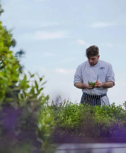 Chef tending to a lush garden in a tranquil hotel setting under a clear sky.