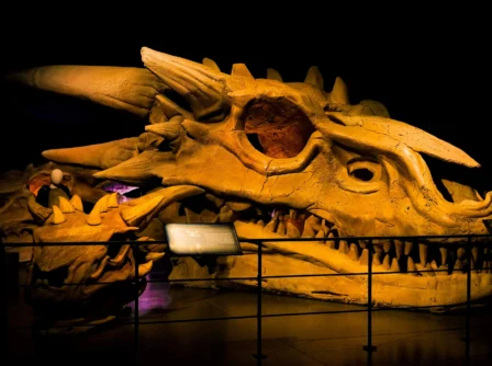 A family exploring a giant dragon skull exhibit at a museum.